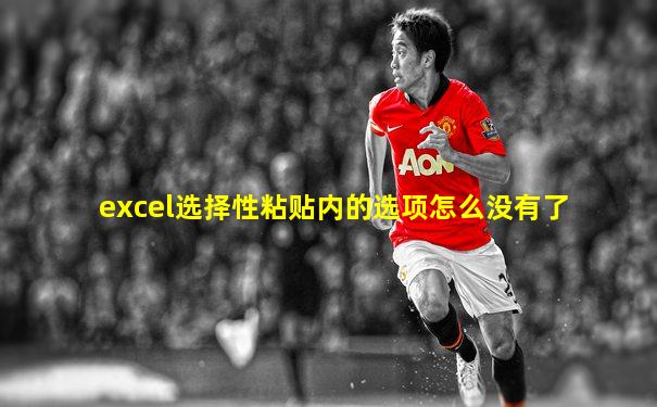 excel选择性粘贴内的选项怎么没有了