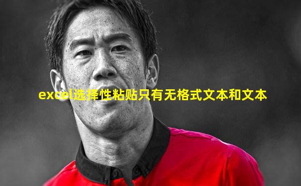 excel选择性粘贴只有无格式文本和文本