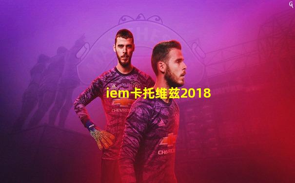 iem卡托维兹2018