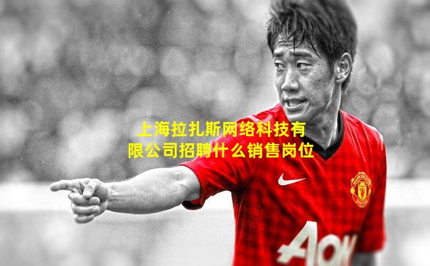 上海拉扎斯网络科技有限公司招聘什么销售岗位