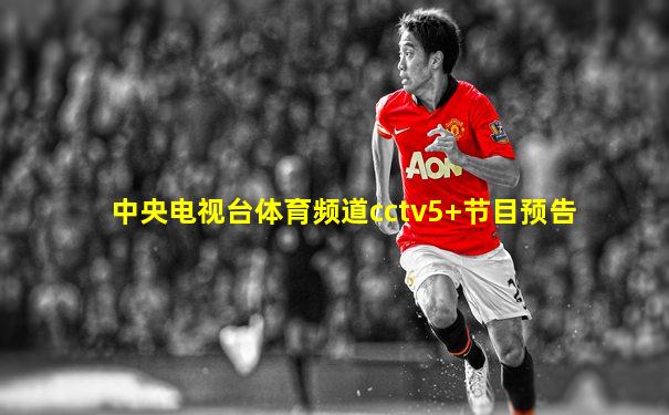 中央电视台体育频道cctv5+节目预告