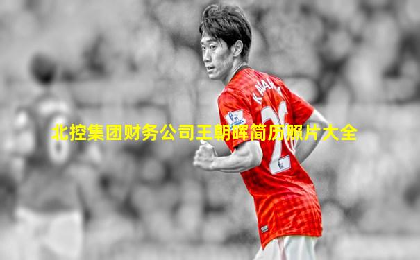 北控集团财务公司王朝晖简历照片大全