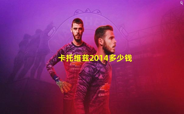 卡托维兹2014多少钱