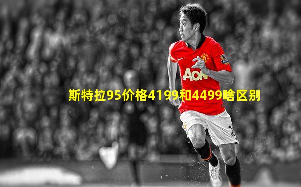 斯特拉95价格4199和4499啥区别