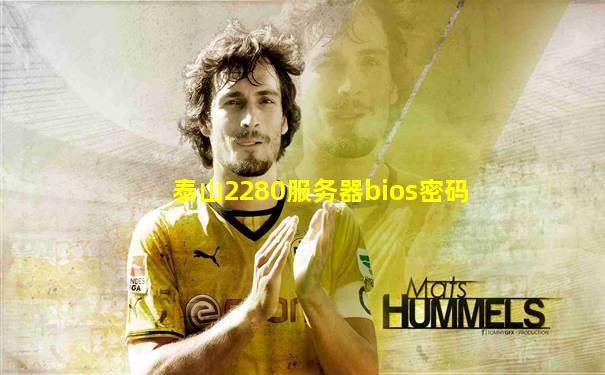泰山2280服务器bios密码
