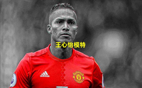 王心怡模特