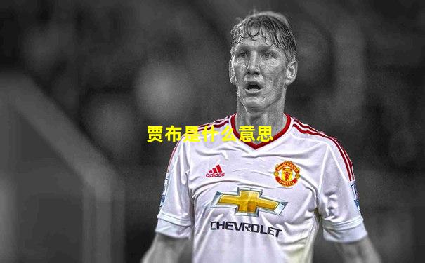 贾布是什么意思