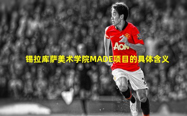 锡拉库萨美术学院MADE项目的具体含义