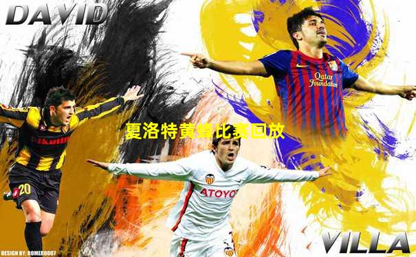 夏洛特黄蜂比赛回放