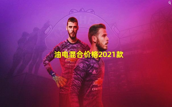 油电混合价格2021款