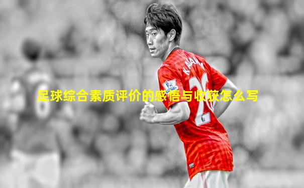 足球综合素质评价的感悟与收获怎么写